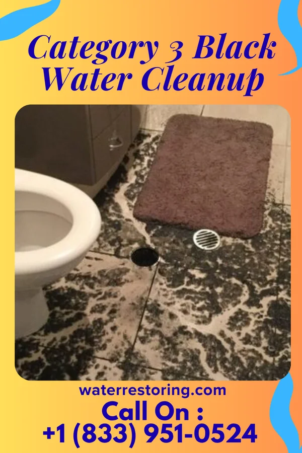 Category 3 Black Water Cleanup in Graysville, AL